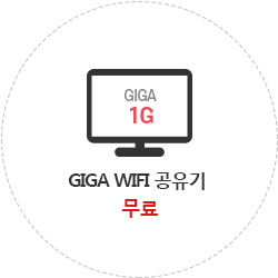 1G ���ͳ�